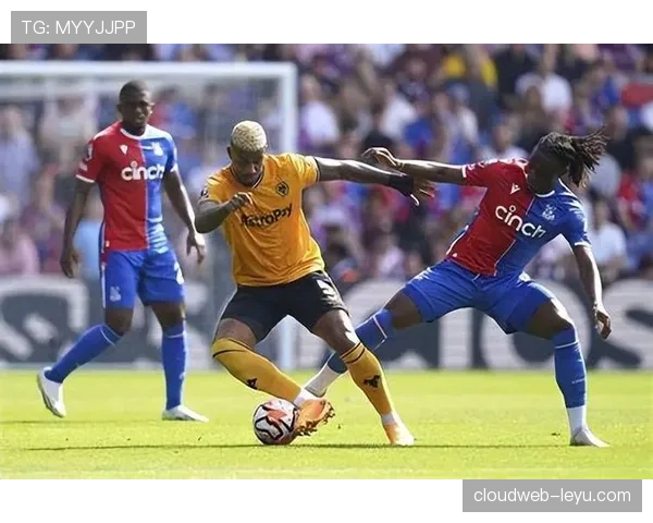 霍奇森重返英超誓言力挽狂澜，誓率球队走出低谷迎状态回暖