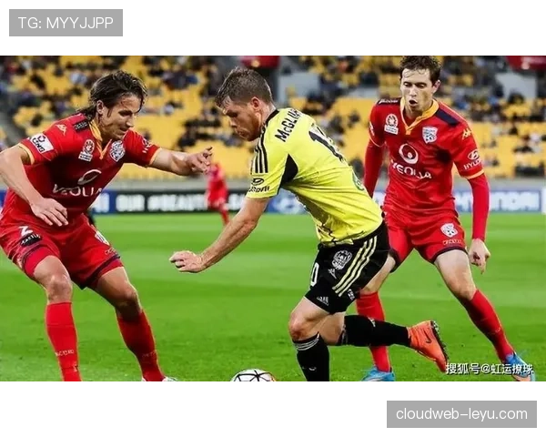 德甲豪门锋线重组迎新援，进攻火力再升级